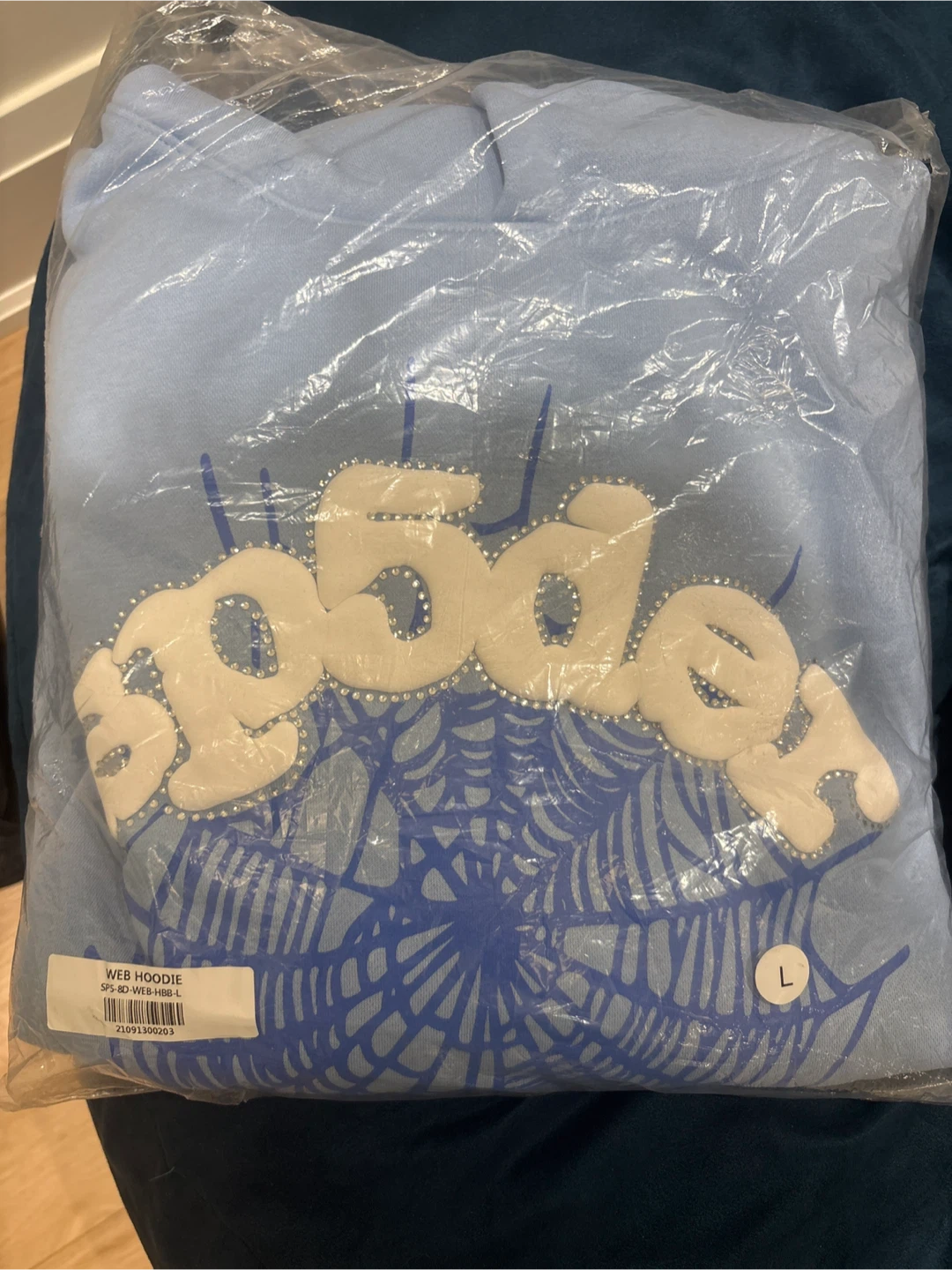 Spider Worldwide Web Hoodie Light Blue Size L
