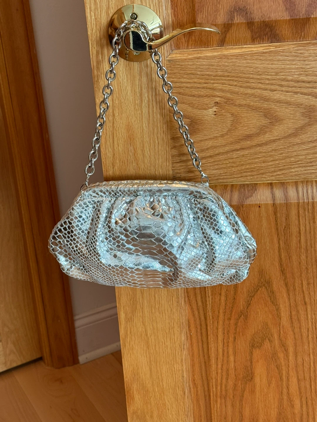 Lorelei Silver Metallic Clutch Purse with Chain Strap