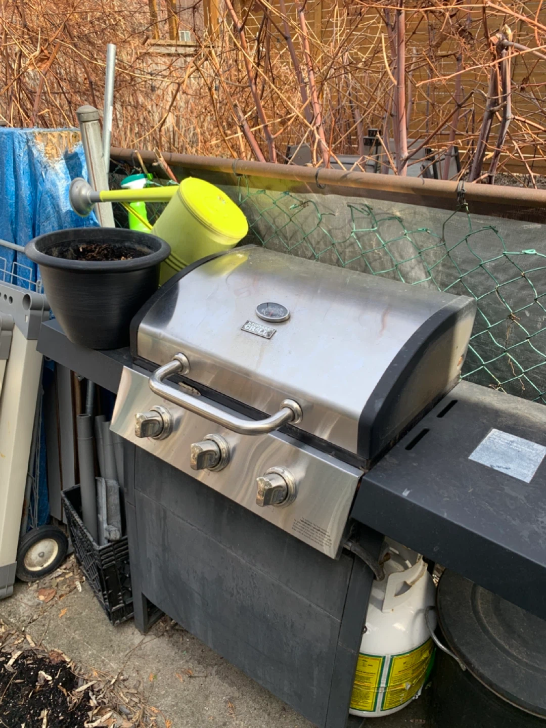 Backyard Grill Propane BBQ