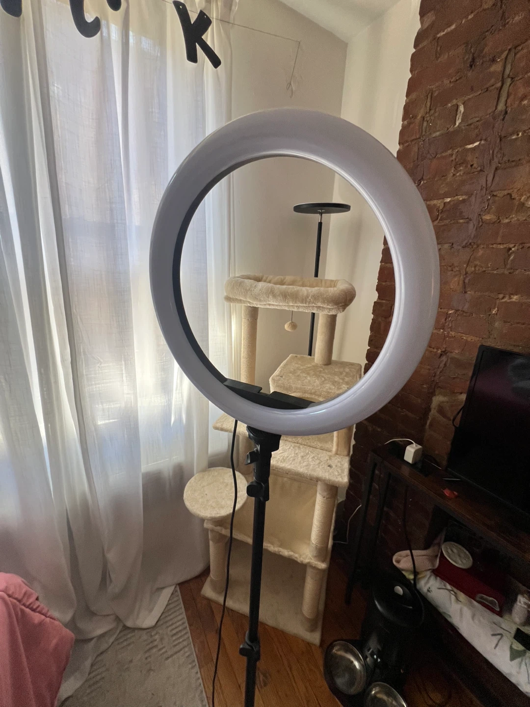 Ring Light with Tripod Stand - photo 3