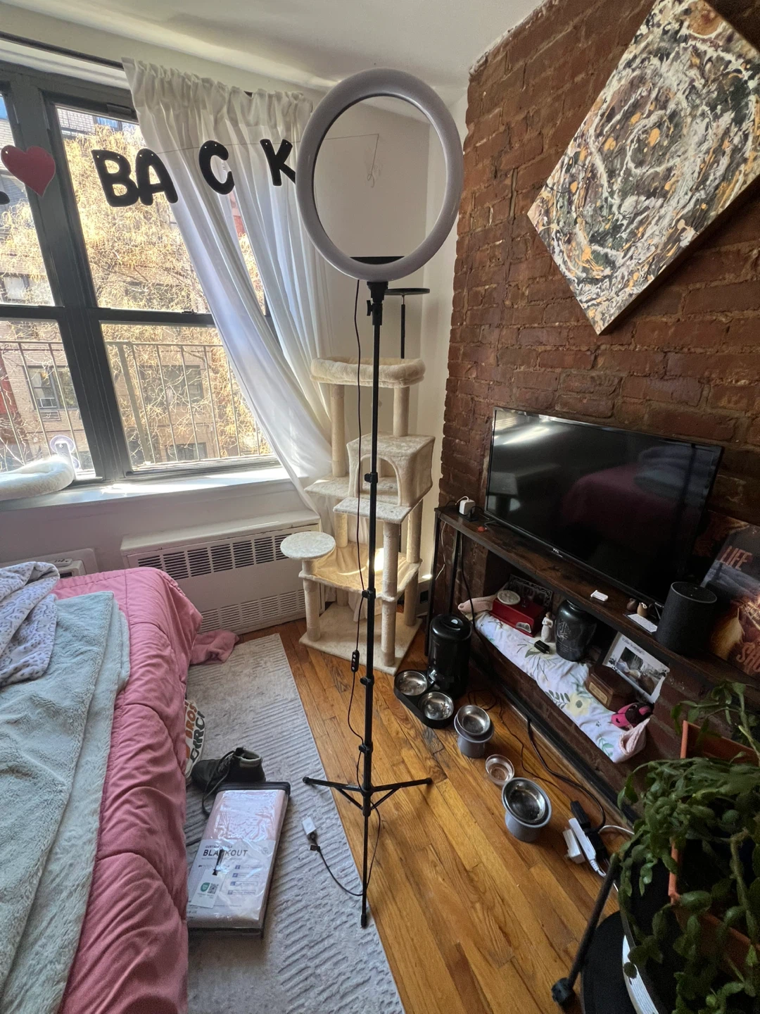 Ring Light with Tripod Stand