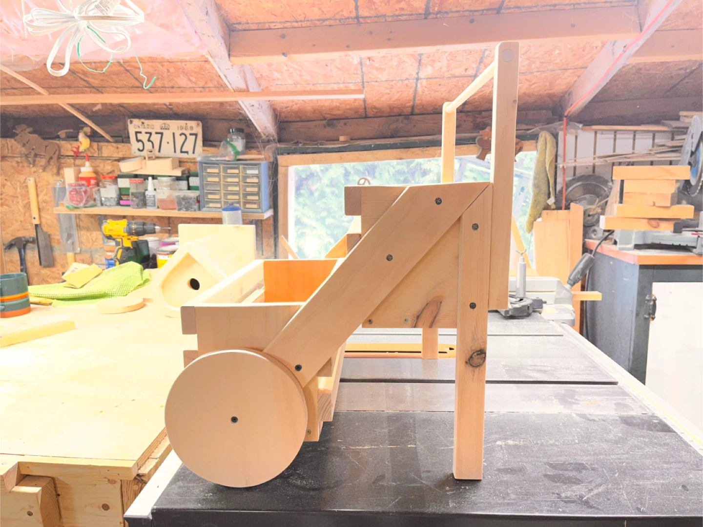 Pine plant stands