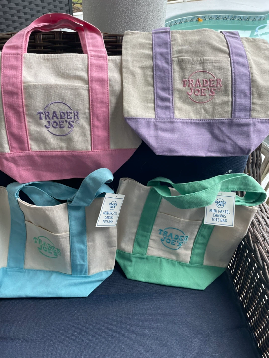 Trader Joe's Mini Pastel Canvas Tote Bag