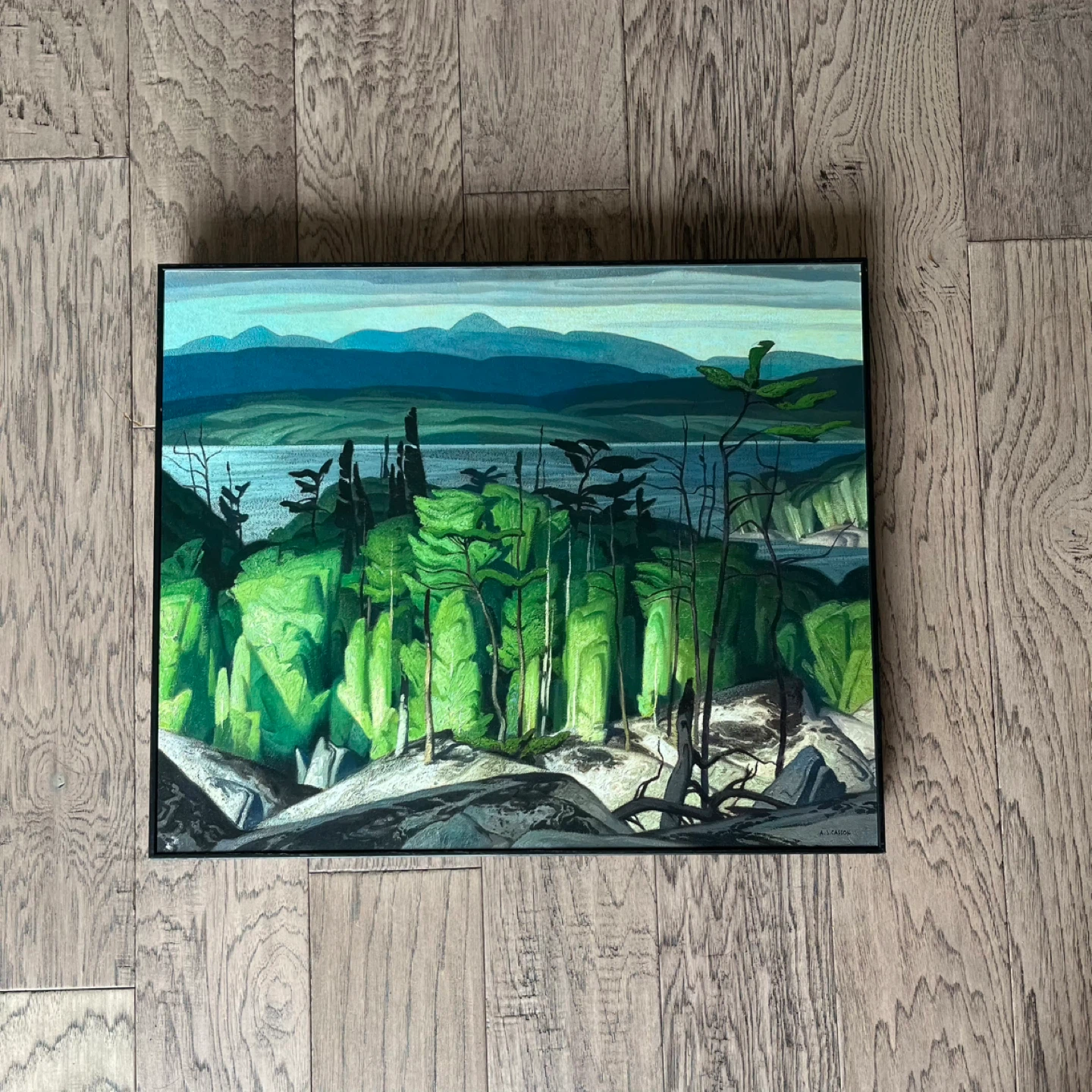 Landscape Canvas Print - A.J. Casson