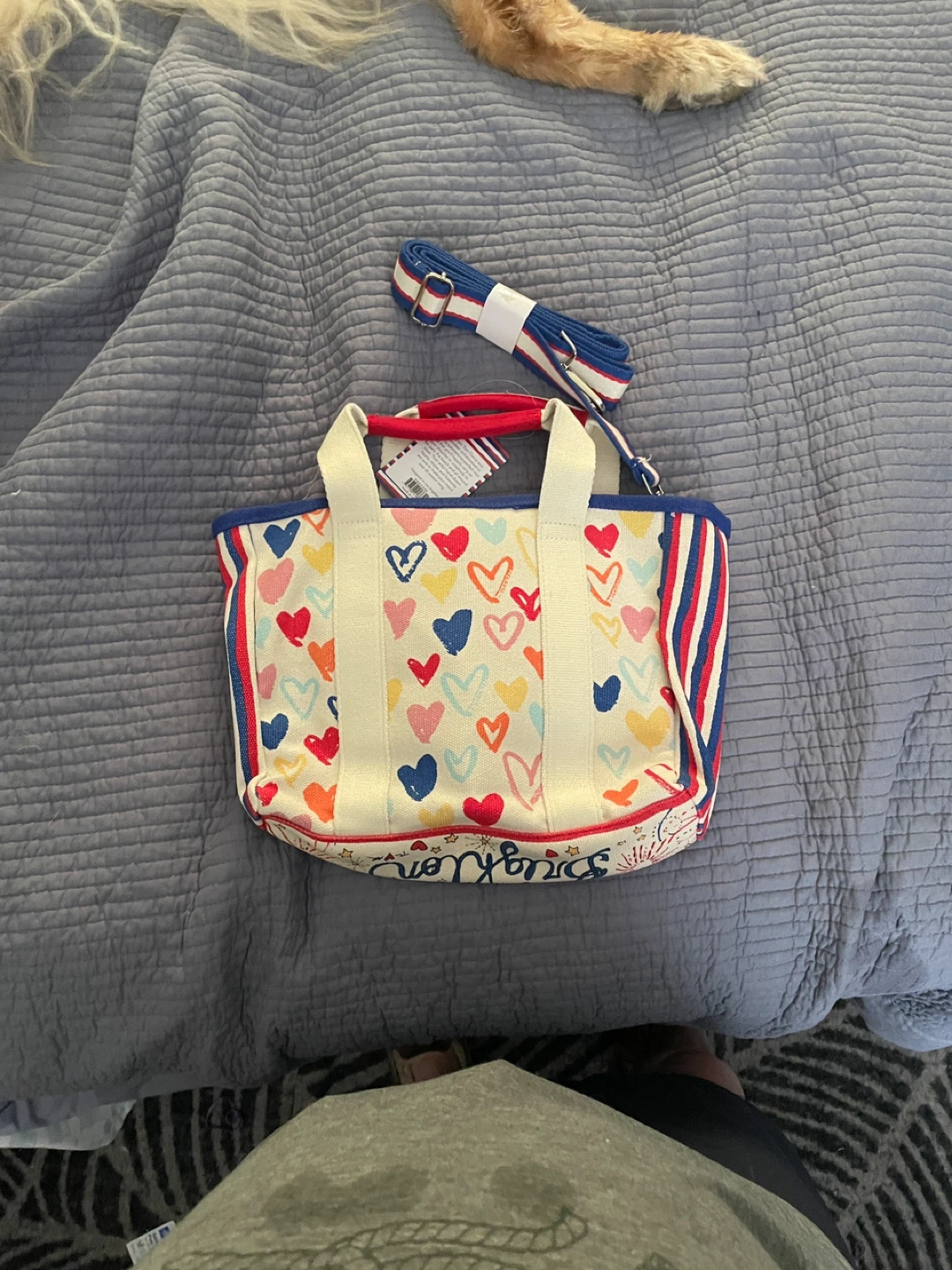 Brighton Mini Tote Bag - Red White and You Collection - photo 4