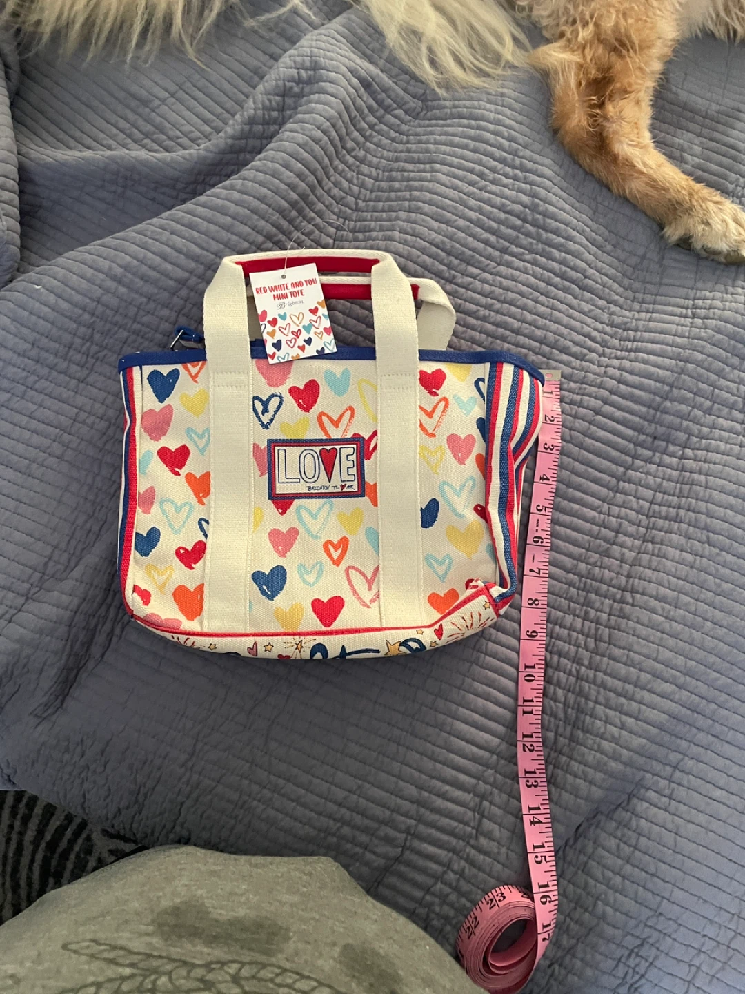 Brighton Mini Tote Bag - Red White and You Collection