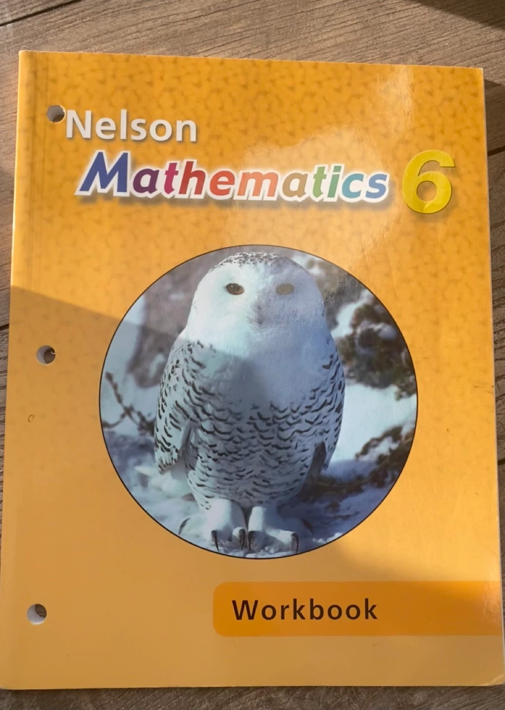 Nelson Mathematics 6 Workbook