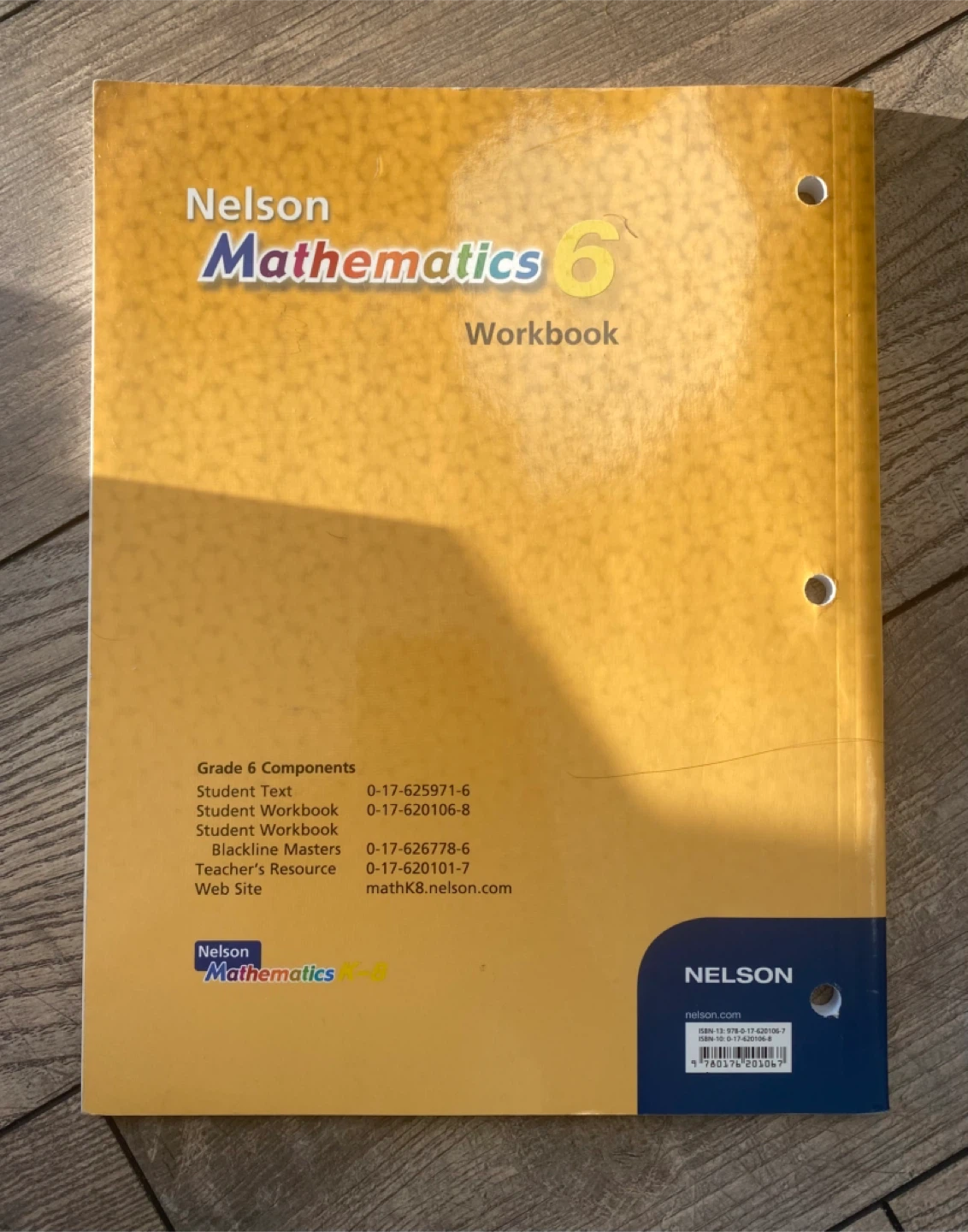 Nelson Mathematics 6 Workbook - photo 2