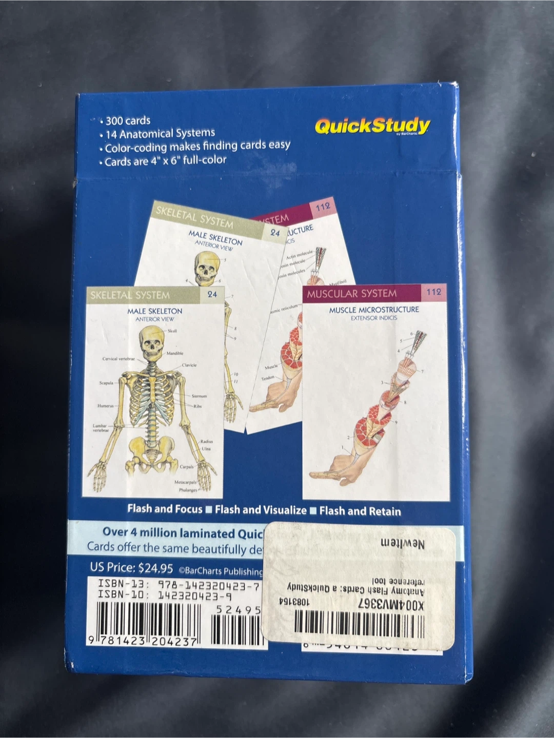 QuickStudy Anatomy Flash Cards - 300 Cards - photo 2