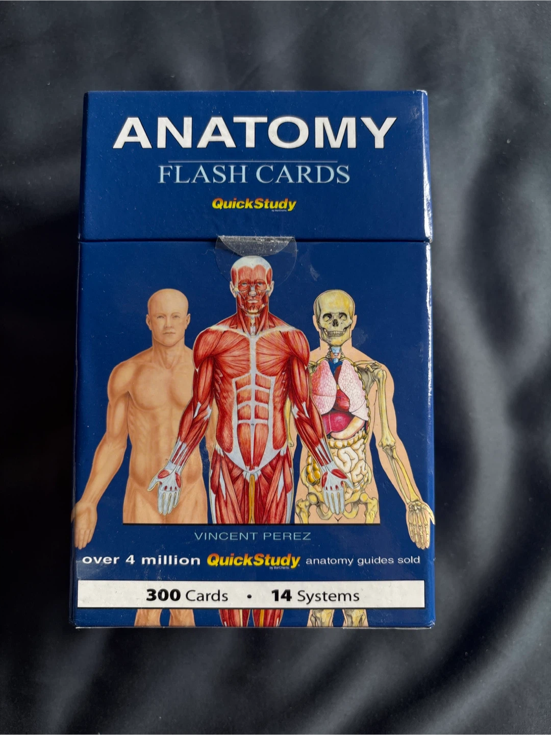 QuickStudy Anatomy Flash Cards - 300 Cards