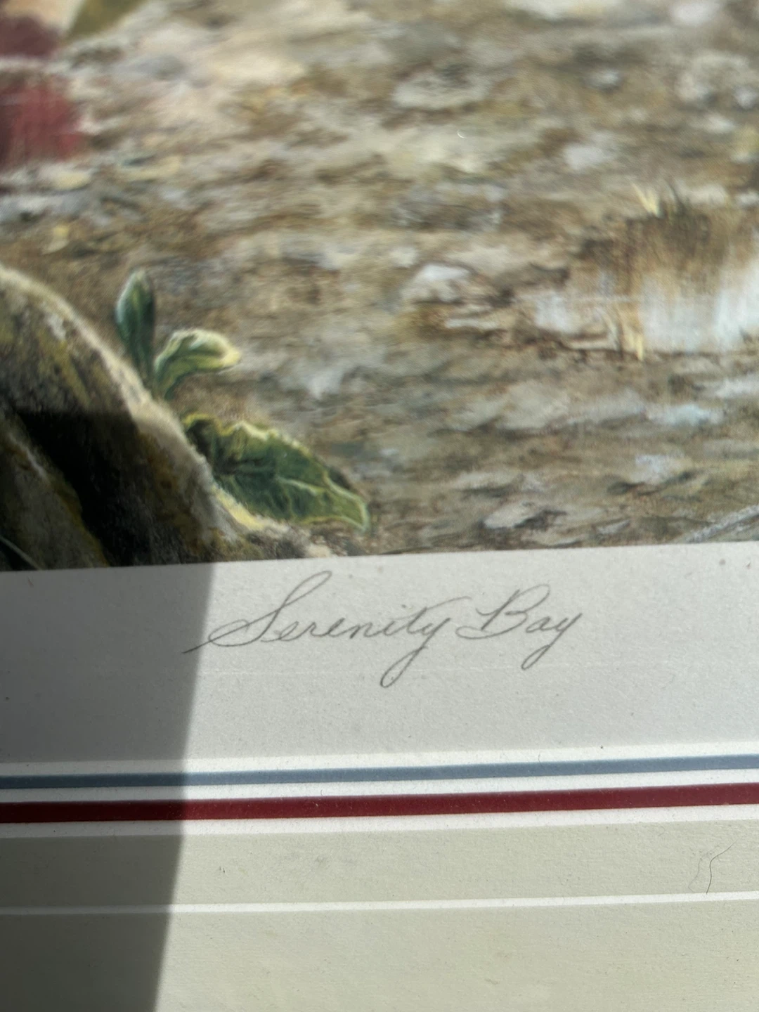 Serenity Bay Framed Print by S. Deaville - photo 3