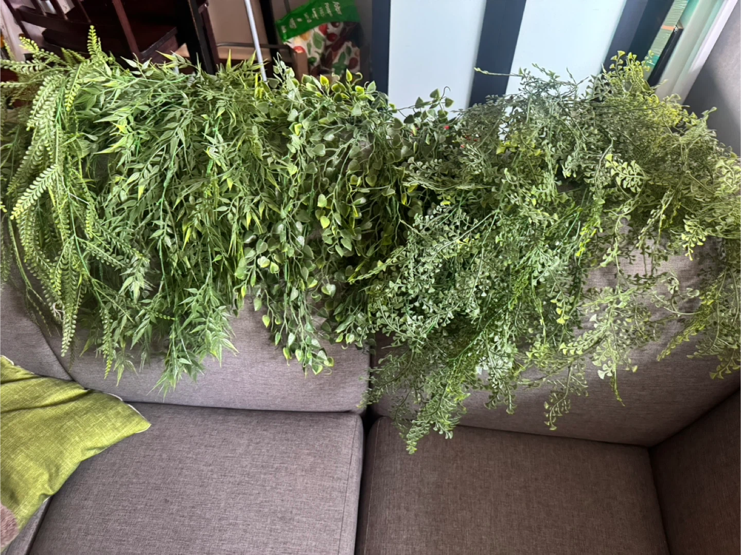 Artificial hanging plants (The whole Lot!) - photo 5