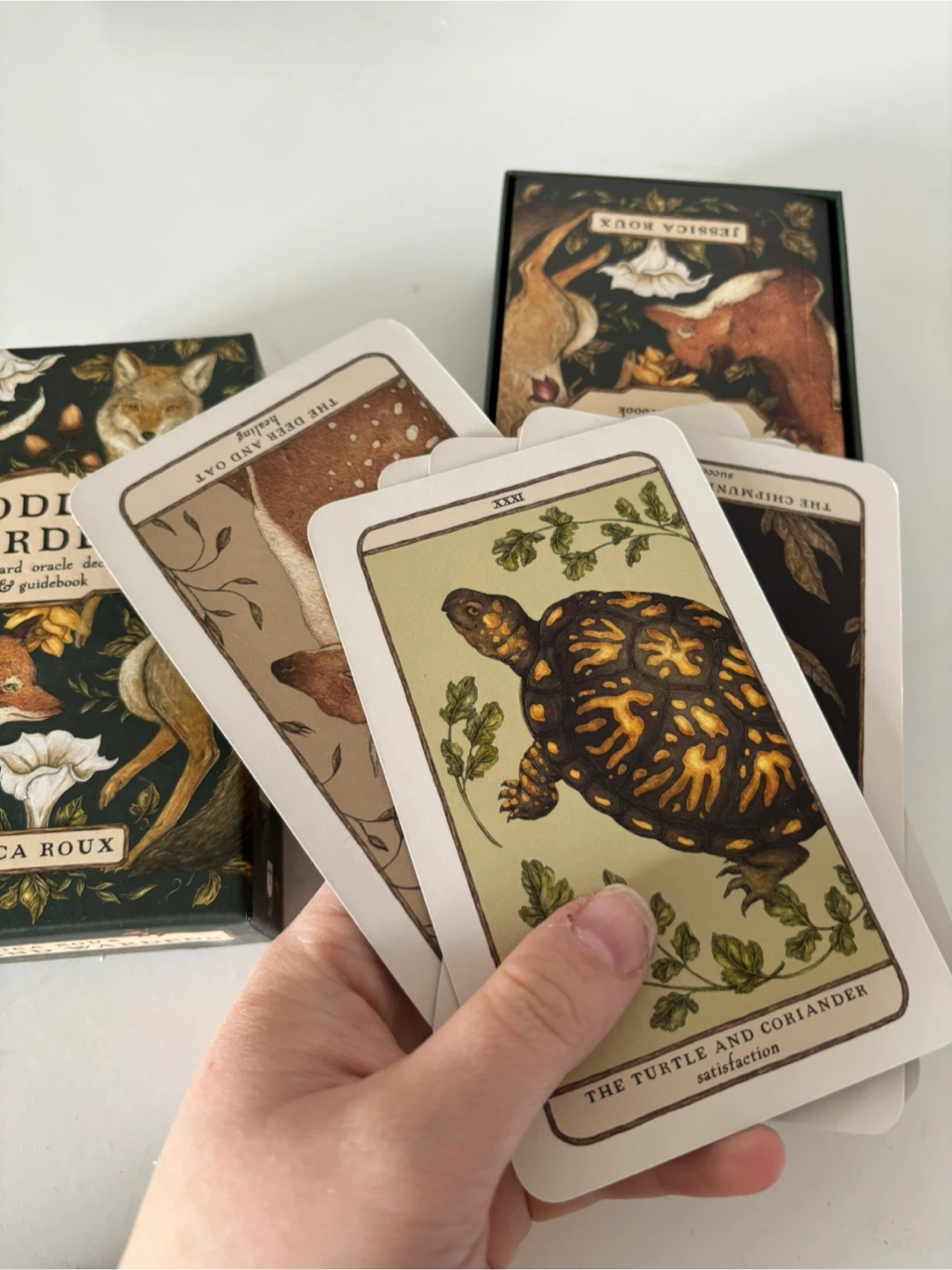 Woodland Wardens Jessica Roux Oracle Deck & Guidebook - photo 2