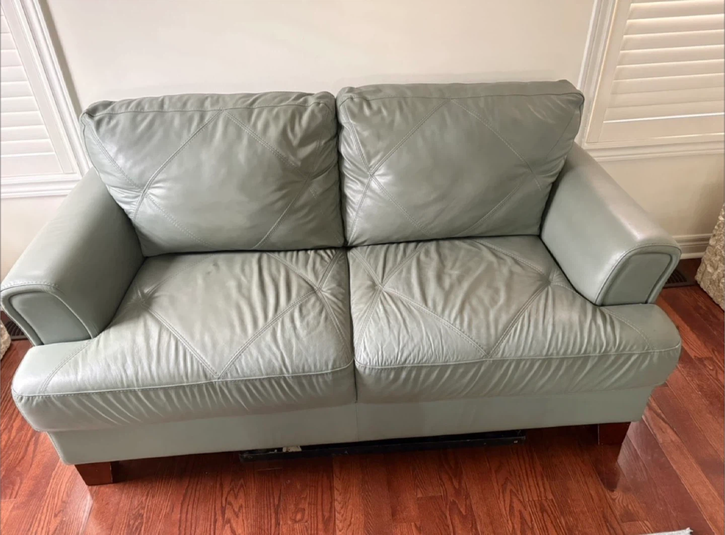 Pale green Leather couch