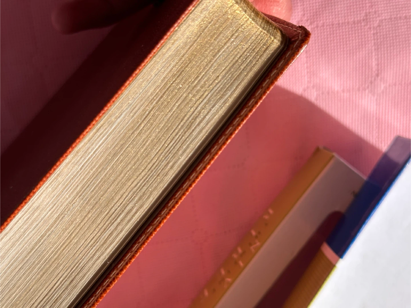 NIV Thinline Bible - New International Version - photo 3