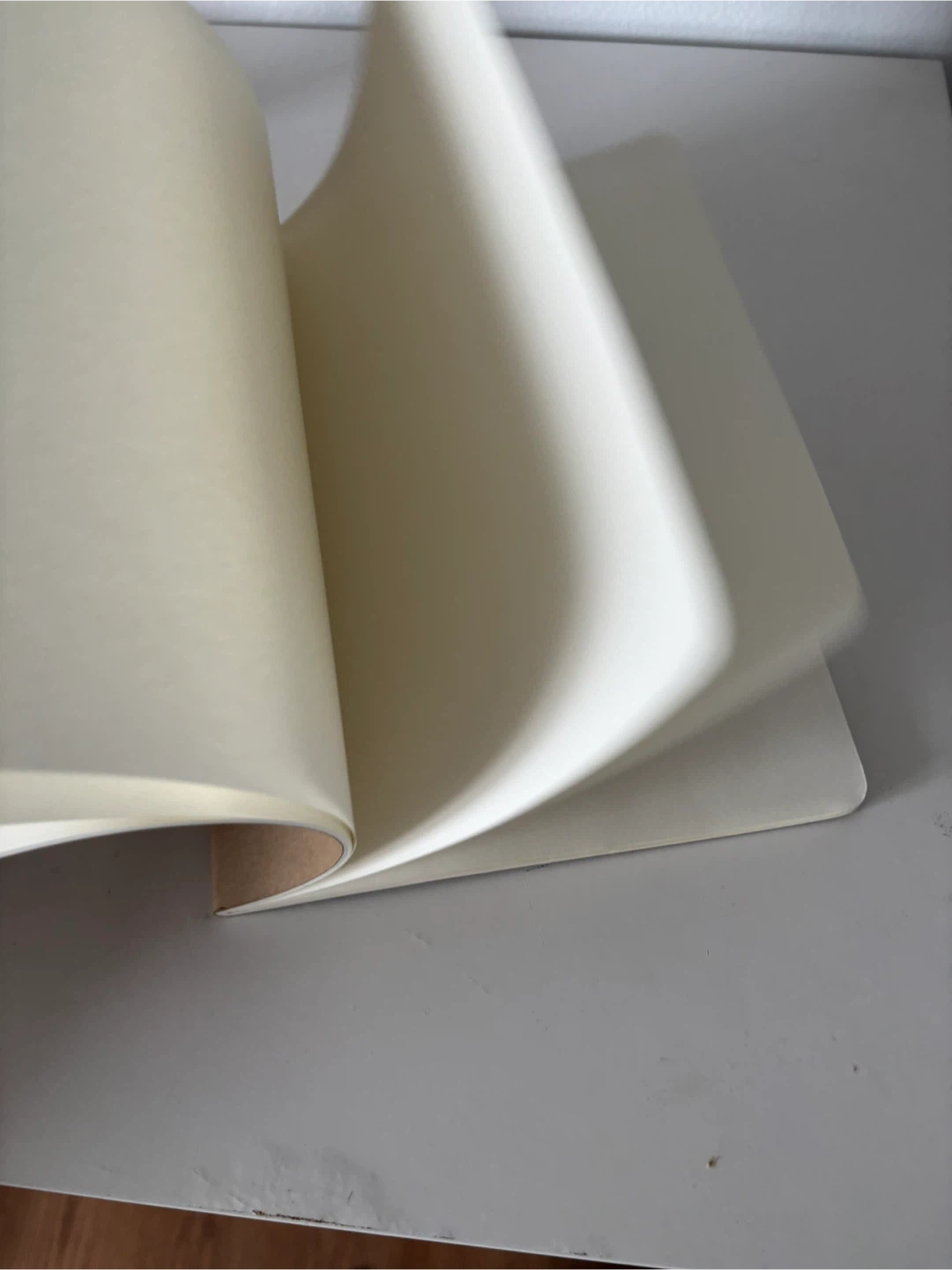 Moleskine Classic Notebook - photo 2