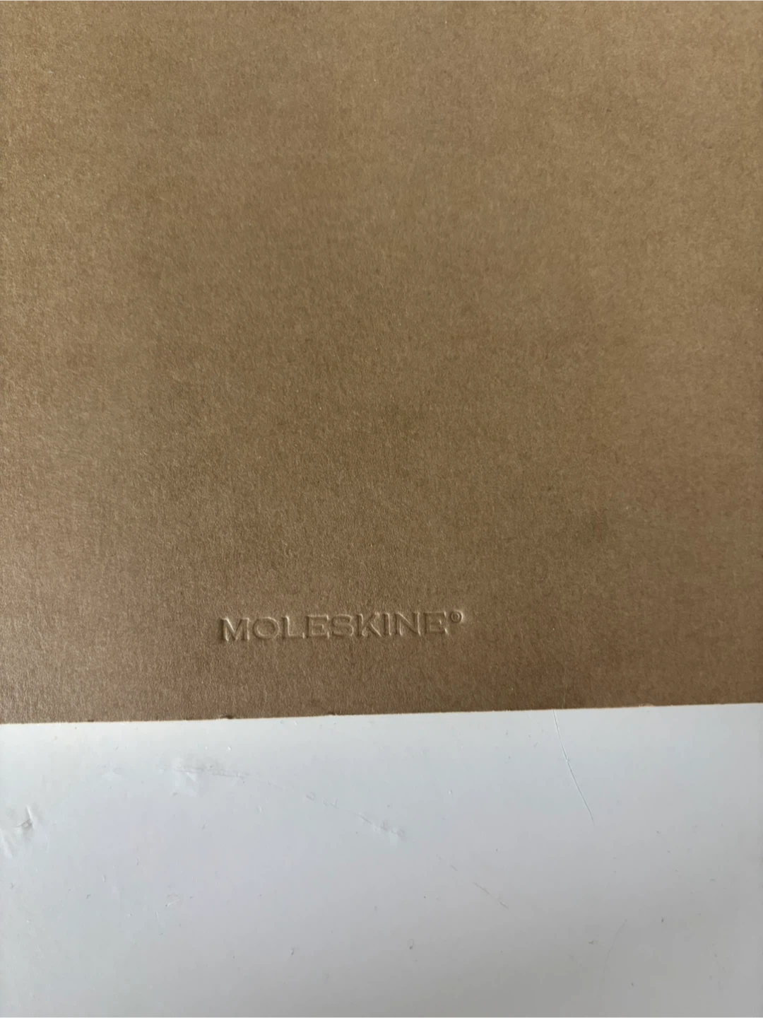 Moleskine Classic Notebook - photo 3