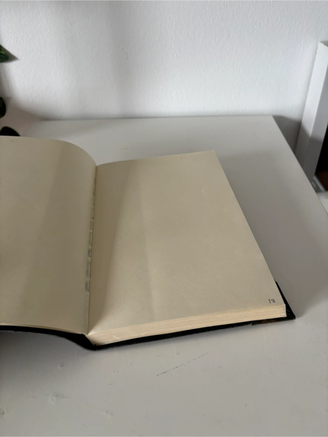 Tom Marvolo Riddle Journal Notebook - photo 2