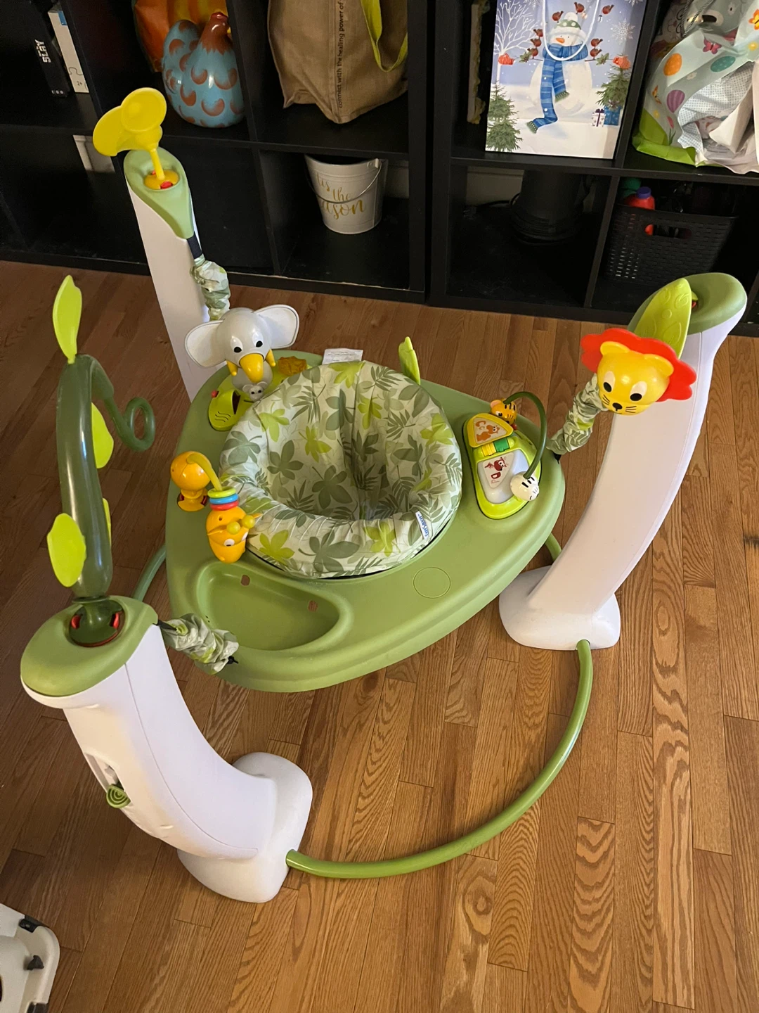 Baby Einstein Jumper