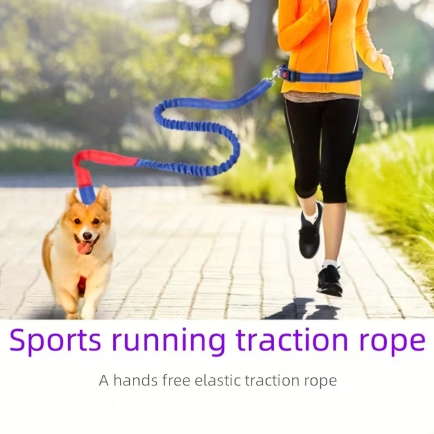 Hands-Free Dog Leash - photo 3