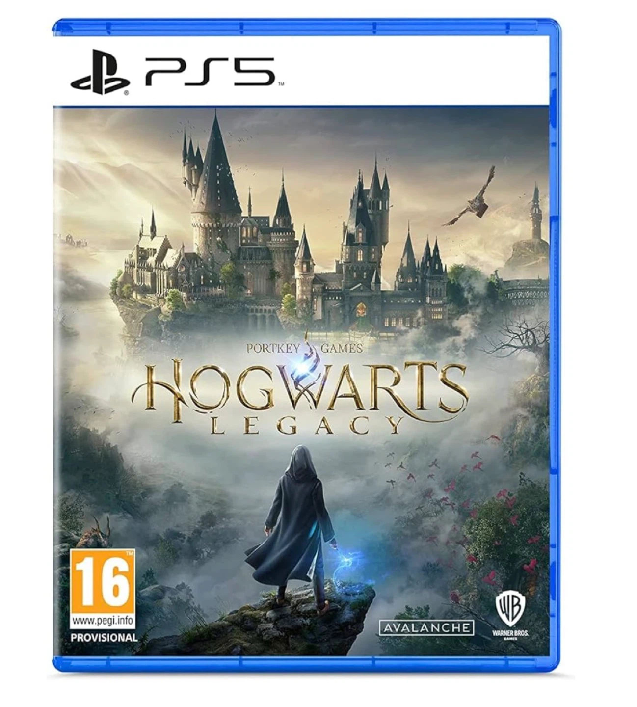Harry Potter Hogwarts Legacy PS5 Game