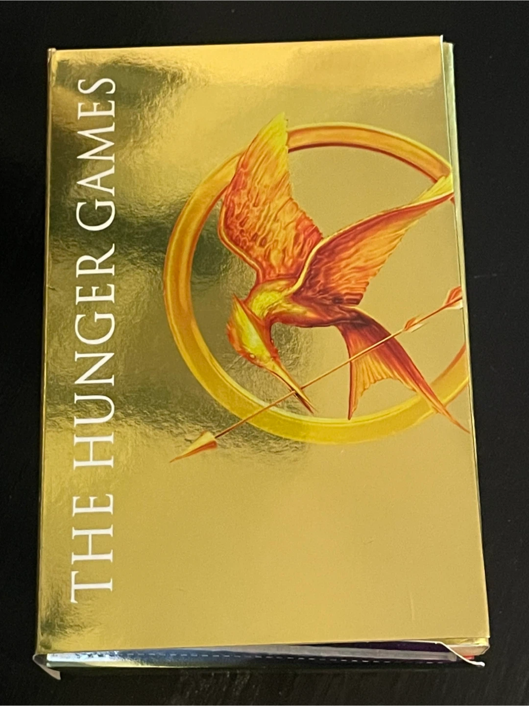 The Hunger Games Trilogy Box Set by Suzanne Collins