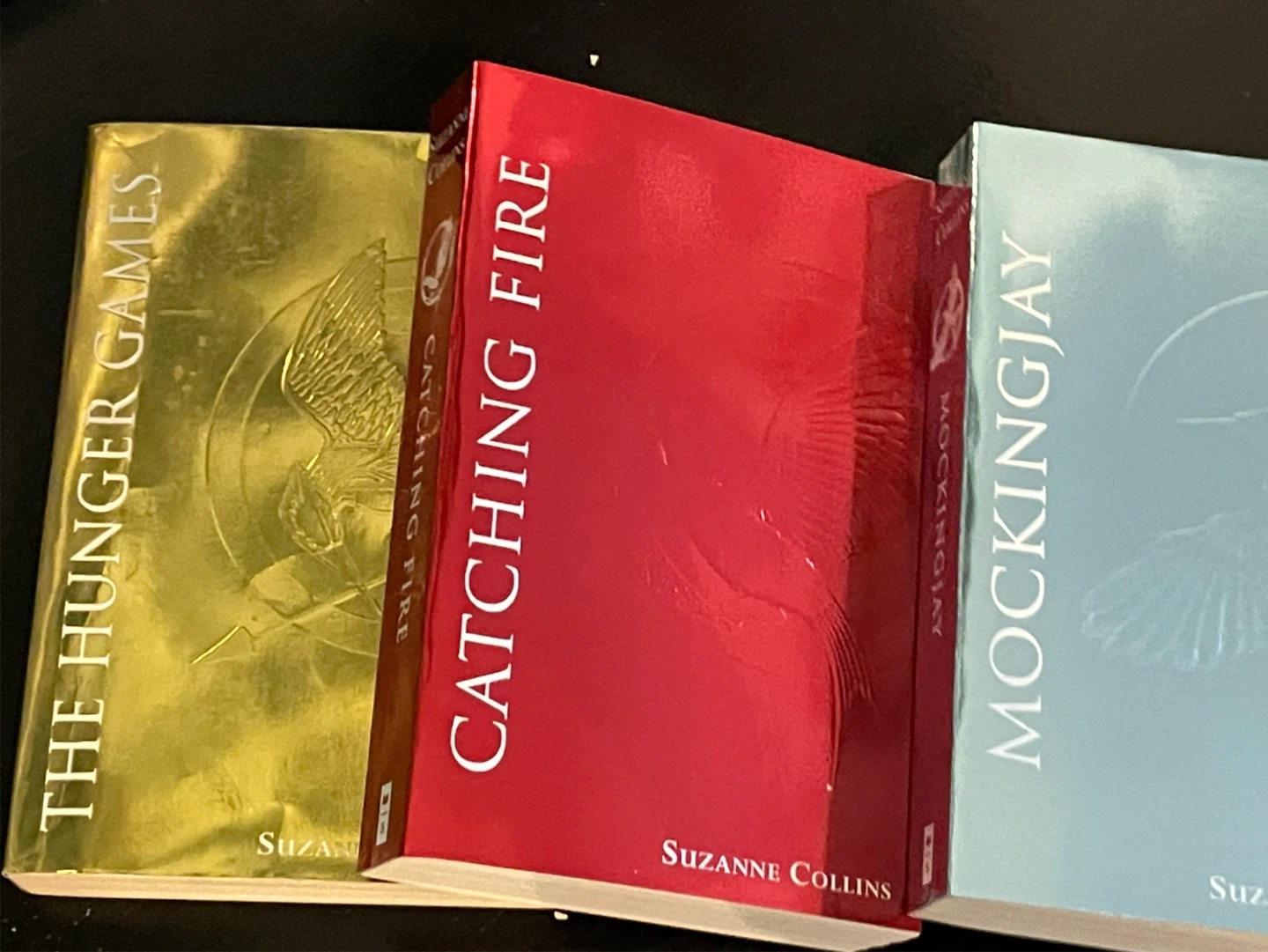 The Hunger Games Trilogy Box Set by Suzanne Collins - photo 3