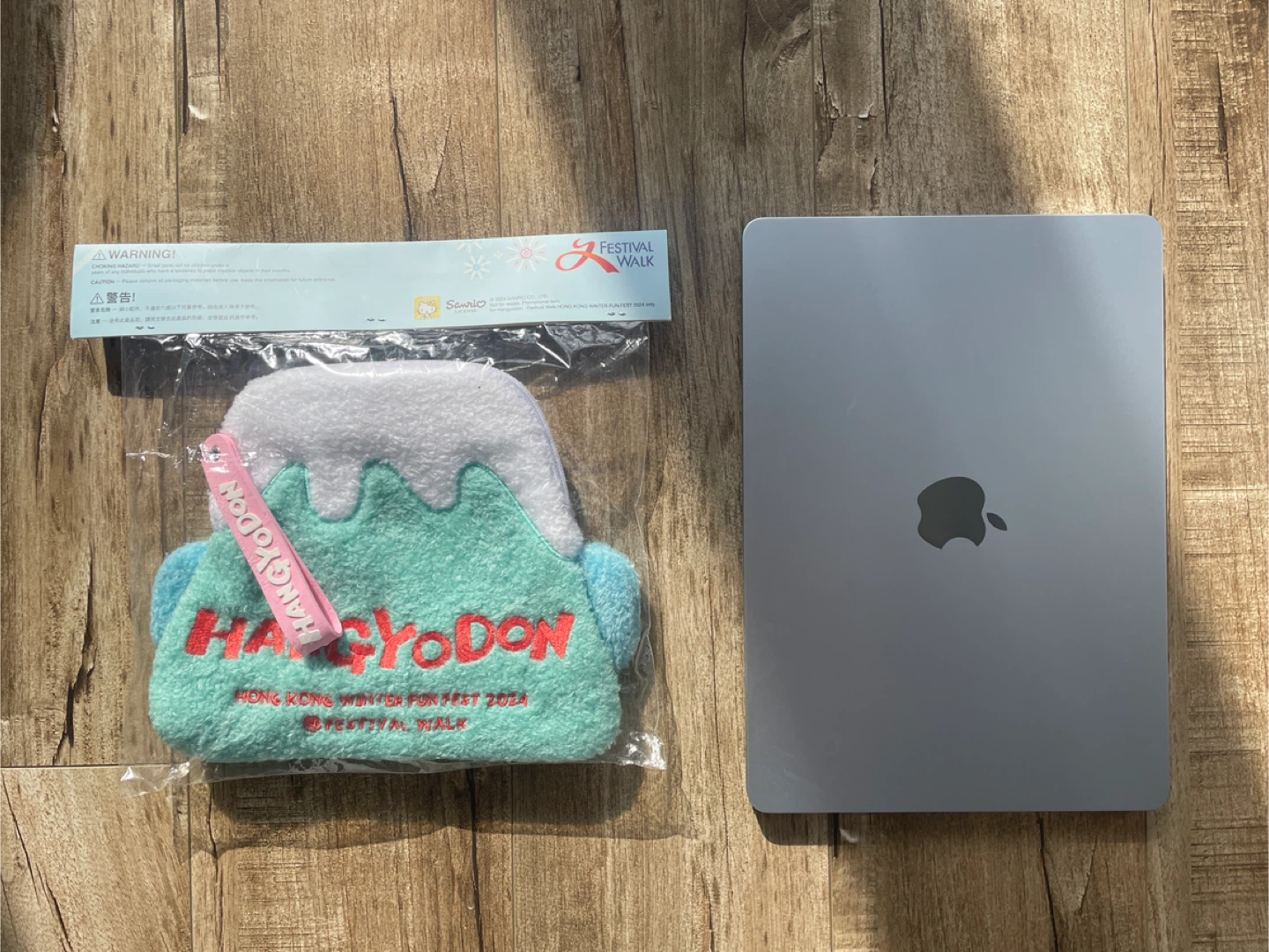 BRAND NEW 🥕 Hagyoron Sanrio Plush Pouch - photo 3