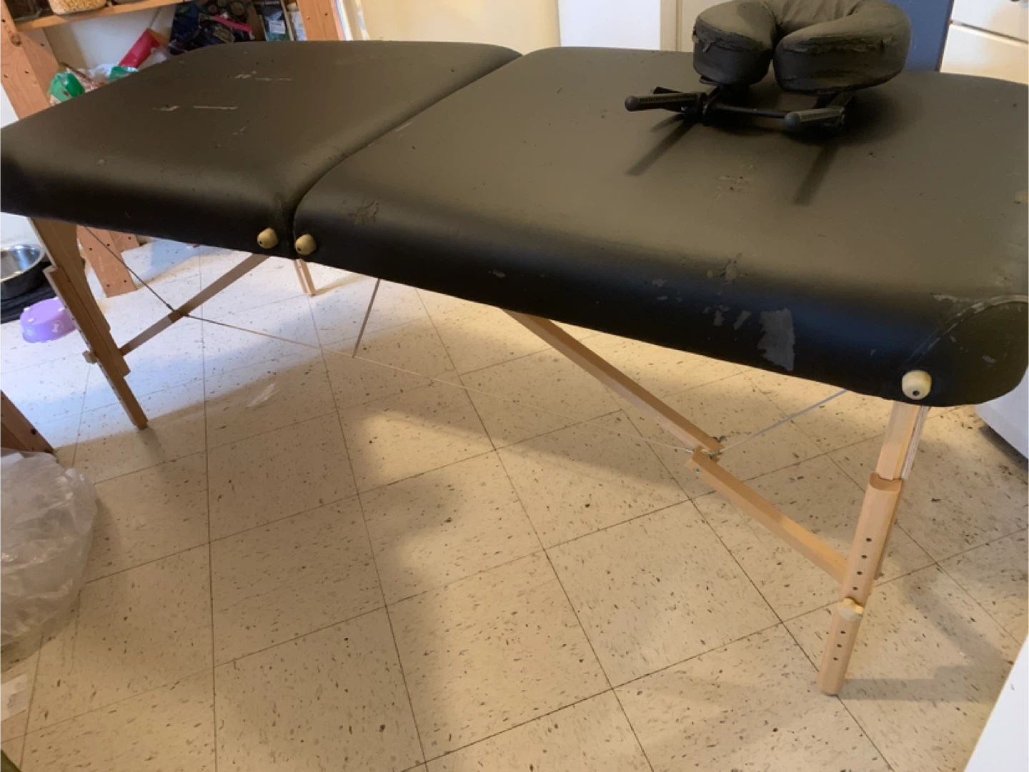 STRONGlite Professional Massage Table