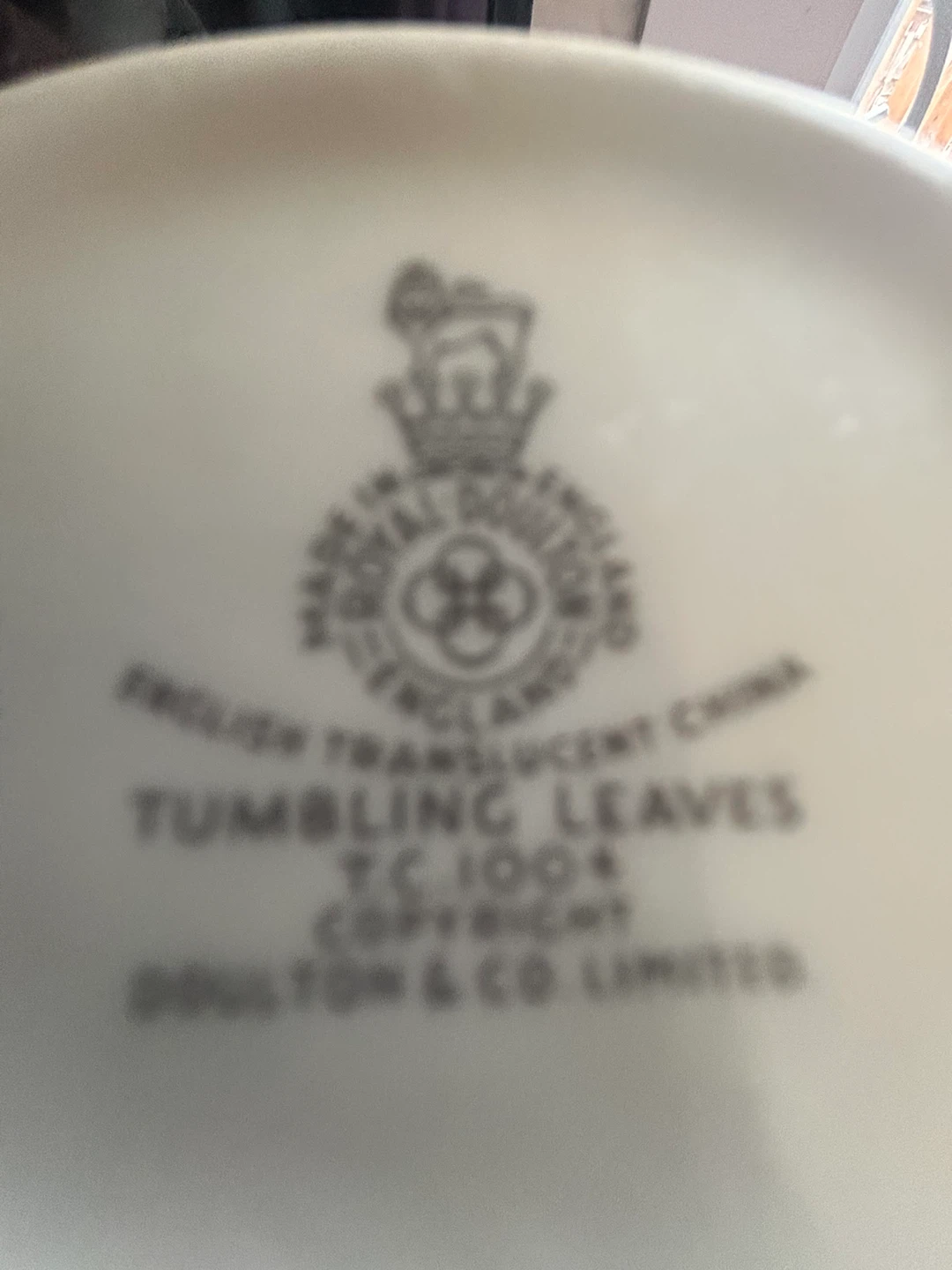 Royal Doulton Tumbling Leaves Creamer and Sugar Bowl Set
