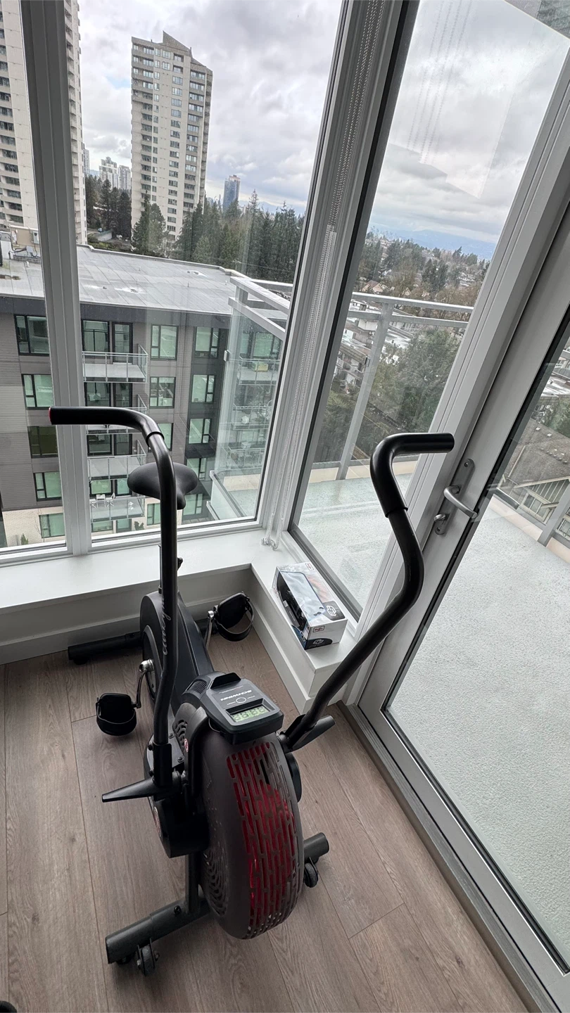 Schwinn AD2 Air Bike - photo 3