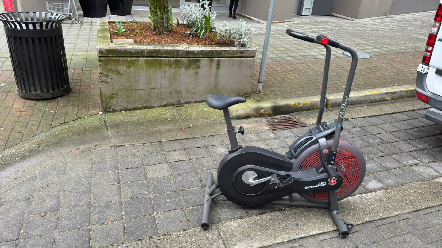 Schwinn AD2 Air Bike