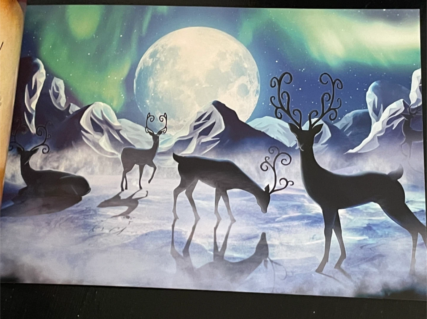 The Adventures of Enchant: The Great Search Book - photo 3