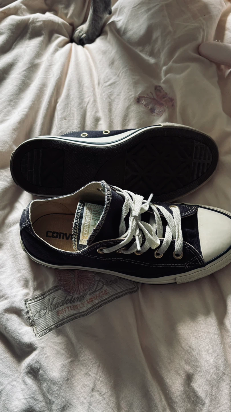 Converse Chuck Taylor All Star Low Top Shoes