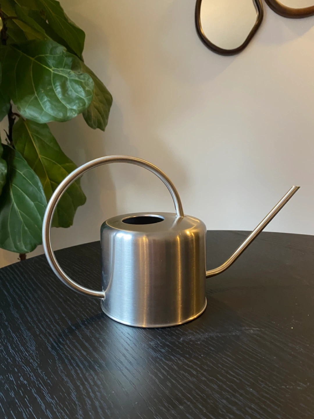 Minimalist Stainless Steel Watering Can - photo 2