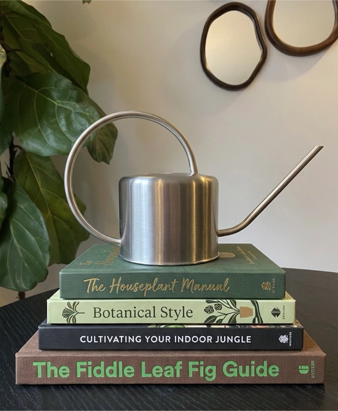 Minimalist Stainless Steel Watering Can