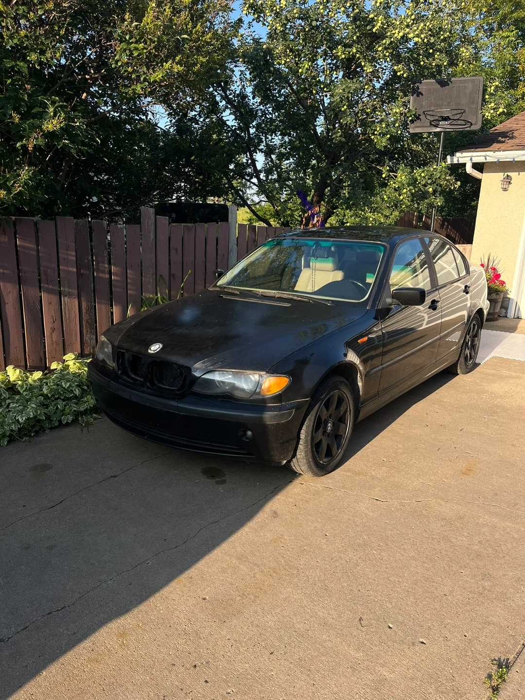 Black BMW Sedan