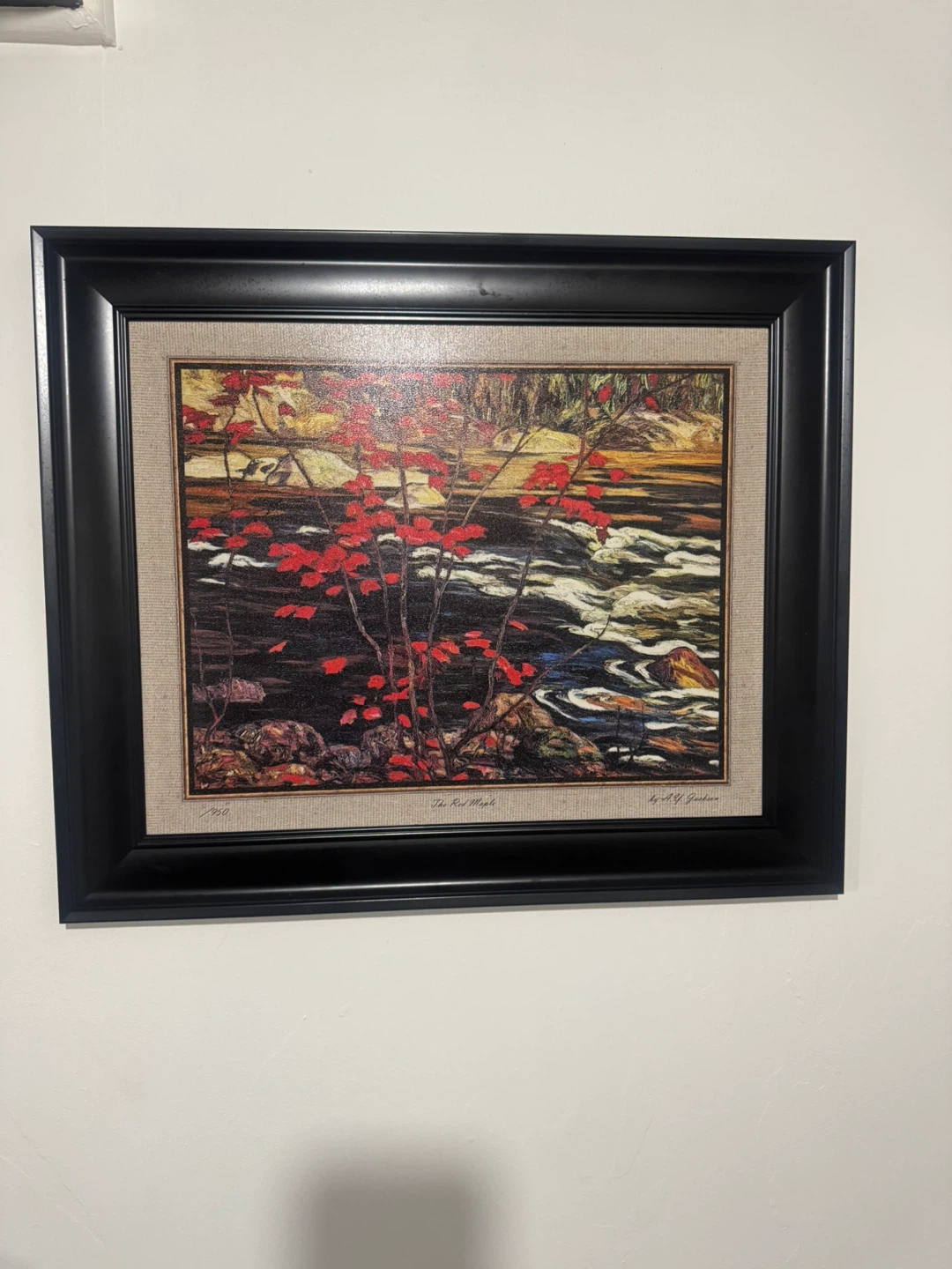 The Red Maple Framed Art Print