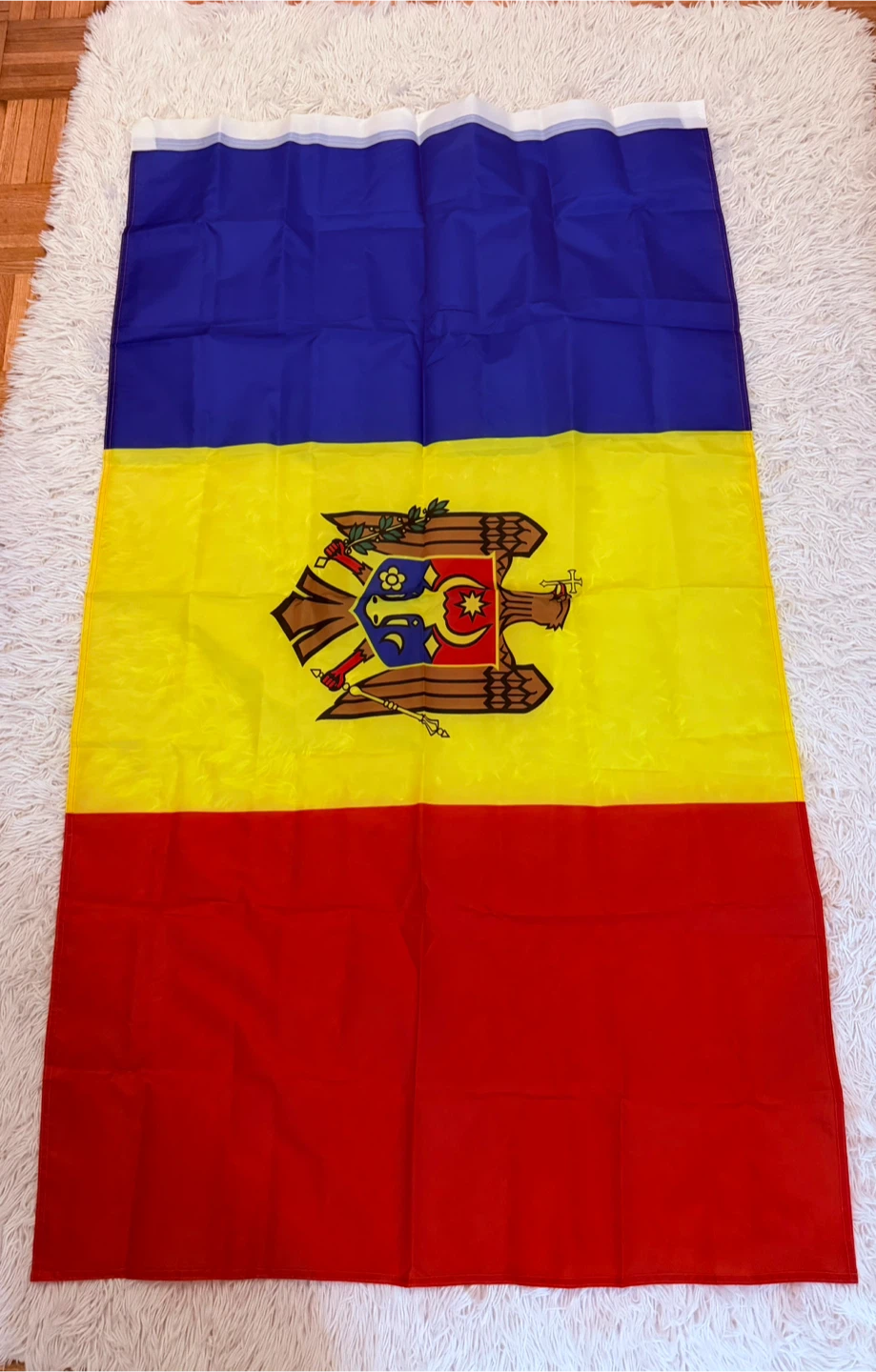 Moldova Flag