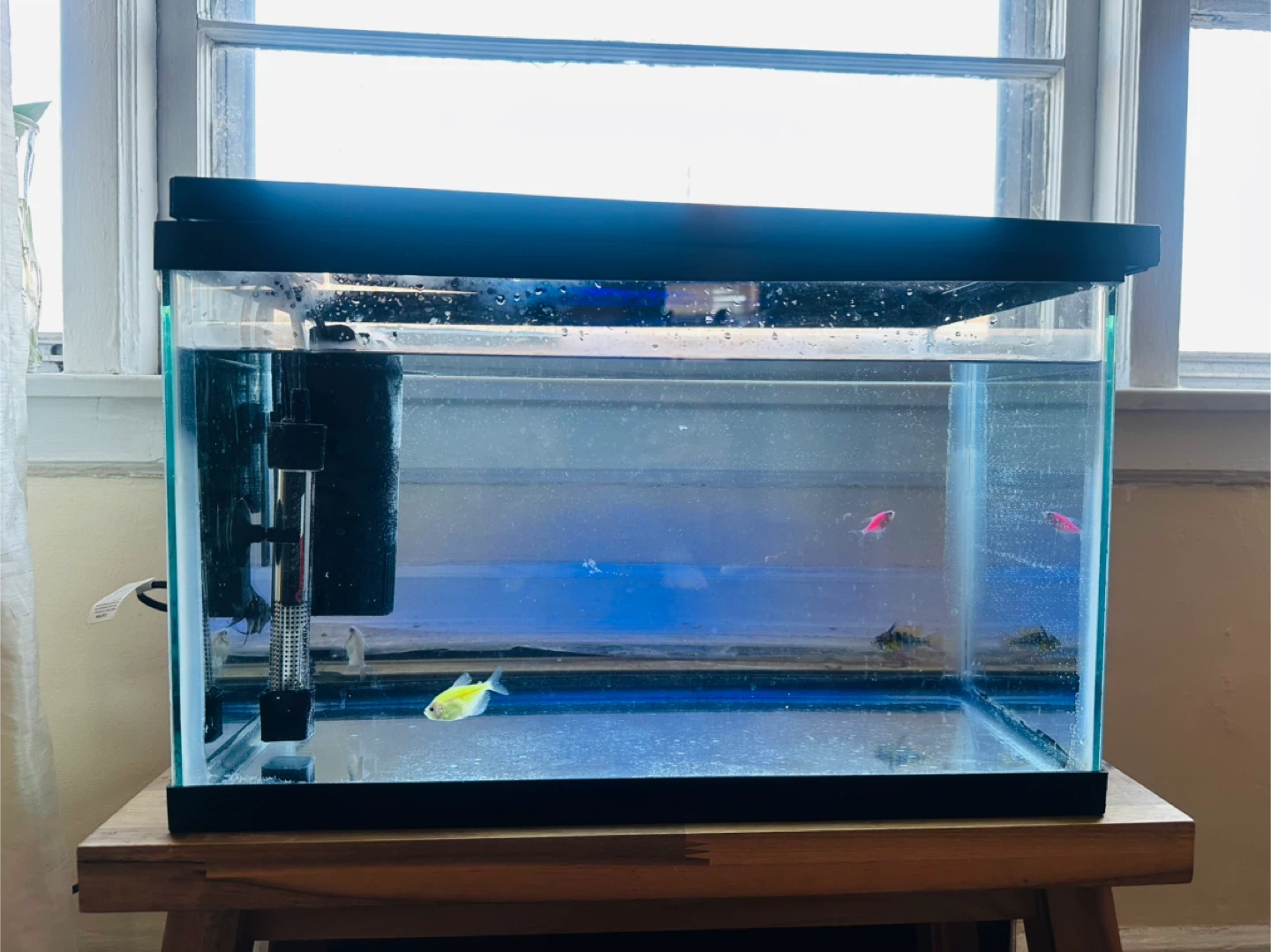 Glass Aquarium Fish Tank with Filter and Heater - photo 5