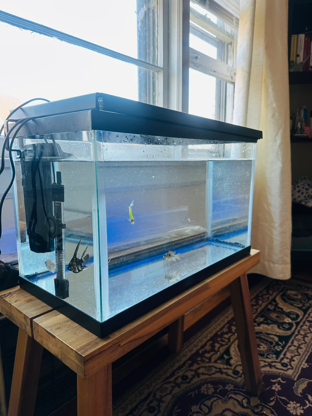 Glass Aquarium Fish Tank with Filter and Heater - photo 2