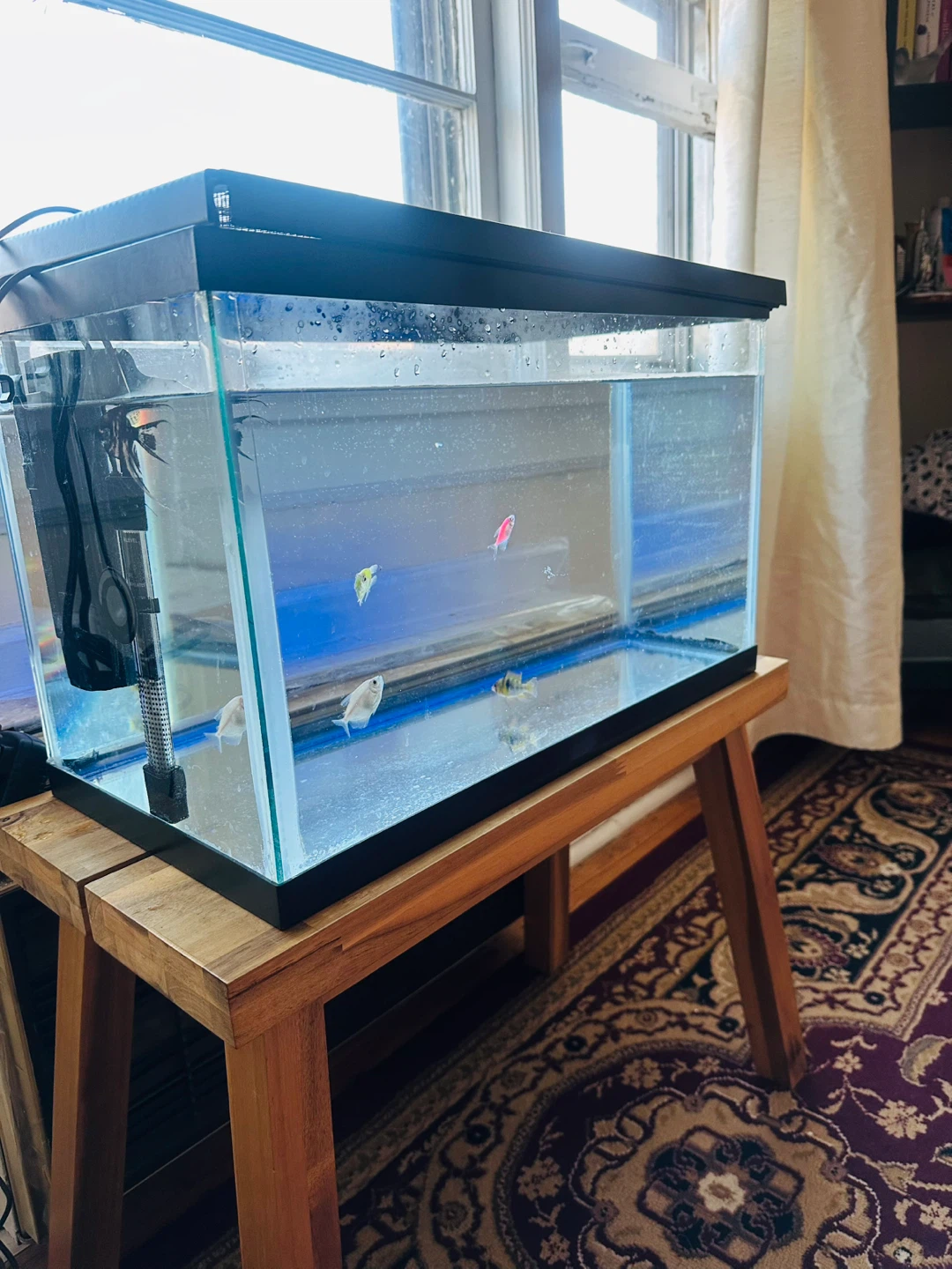 Glass Aquarium Fish Tank with Filter and Heater - photo 3