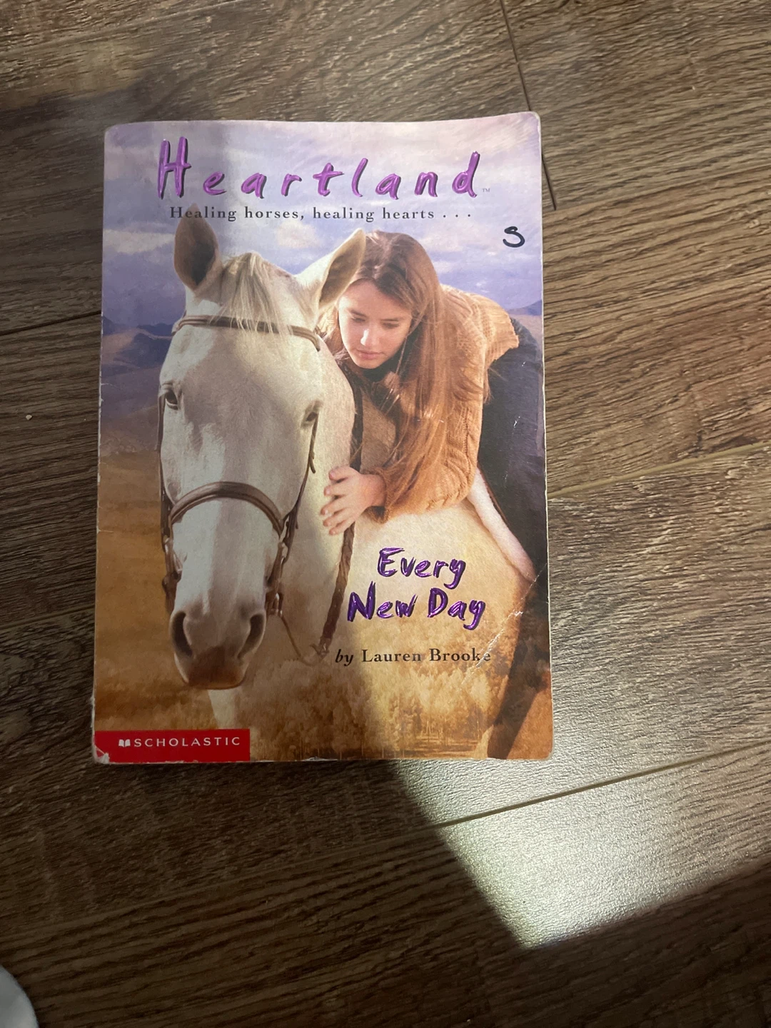 Heartland: Every New Day by Lauren Brooke Book