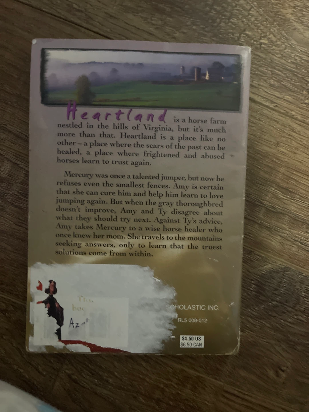 Heartland: Every New Day by Lauren Brooke Book - photo 2