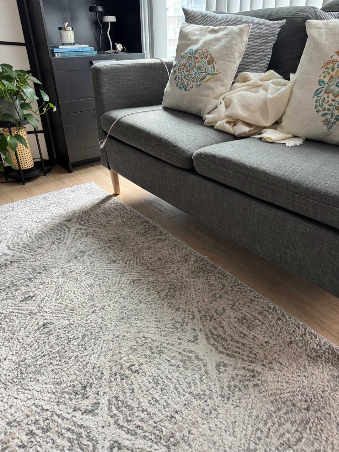 Area Rug - Grey/Neutral - 4x6’ - photo 4