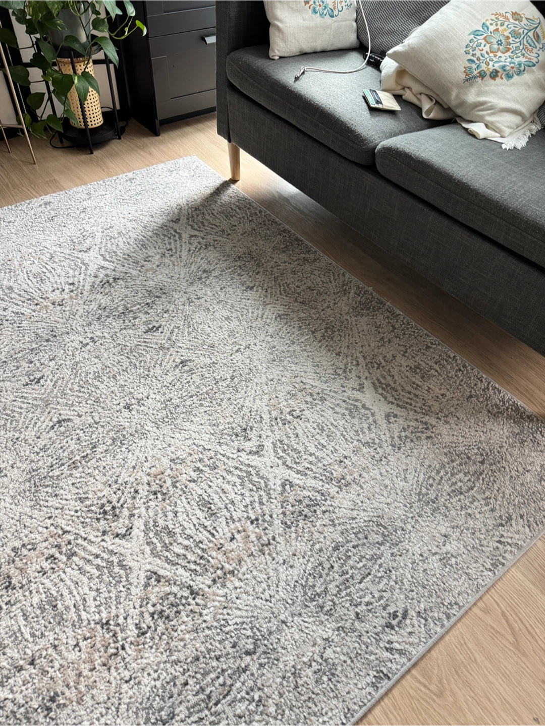 Area Rug - Grey/Neutral - 4x6’
