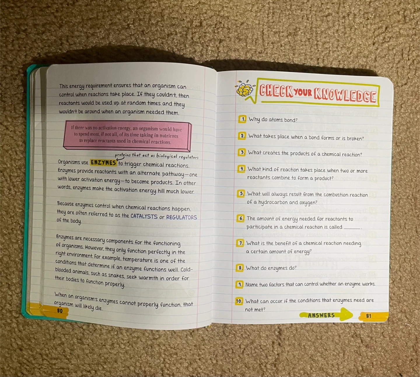 Everything you need to know about biology notebook - photo 3