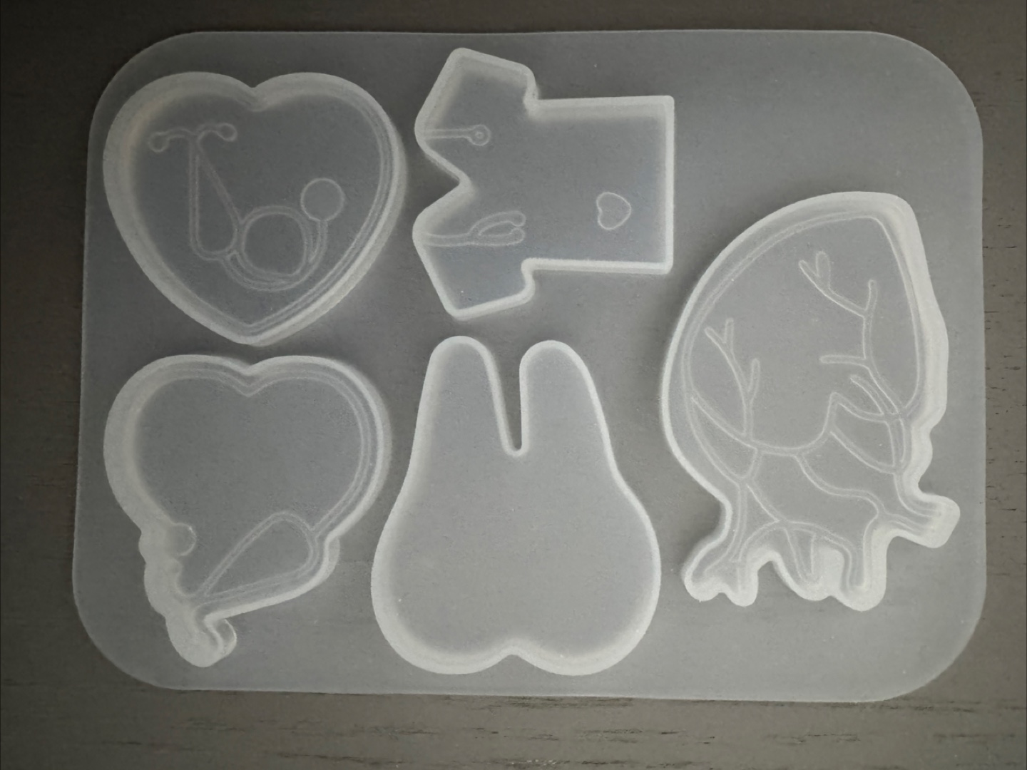 Silicone Mold - Medical & Dental Theme