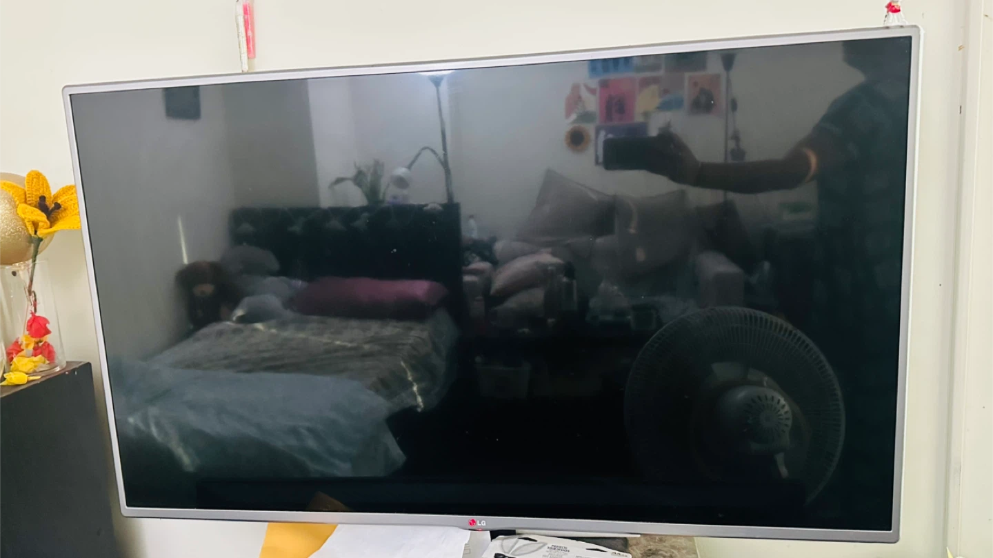 LG Television
