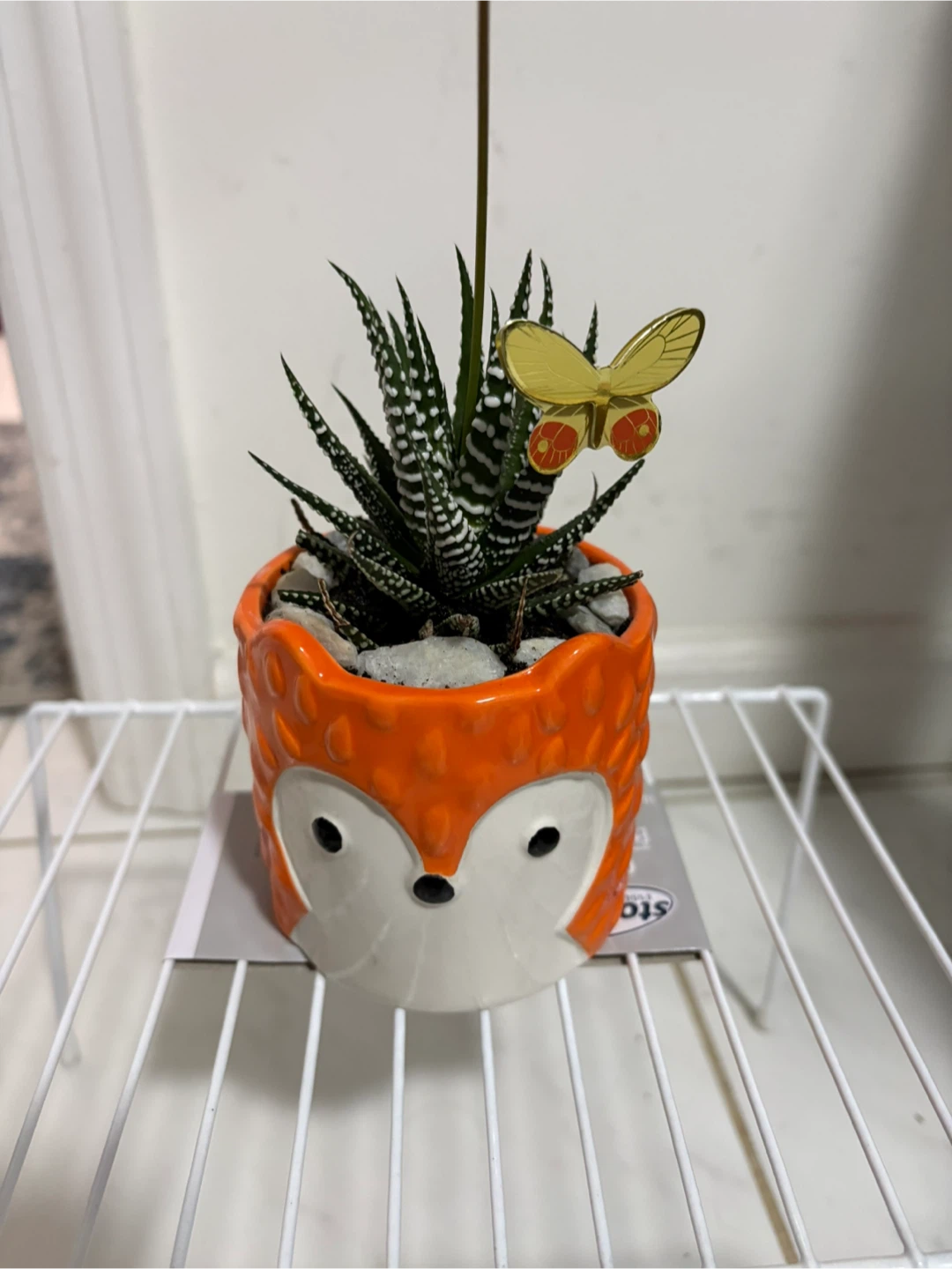 Cute Animal Succulent Planters with Butterfly Decorations - photo 3